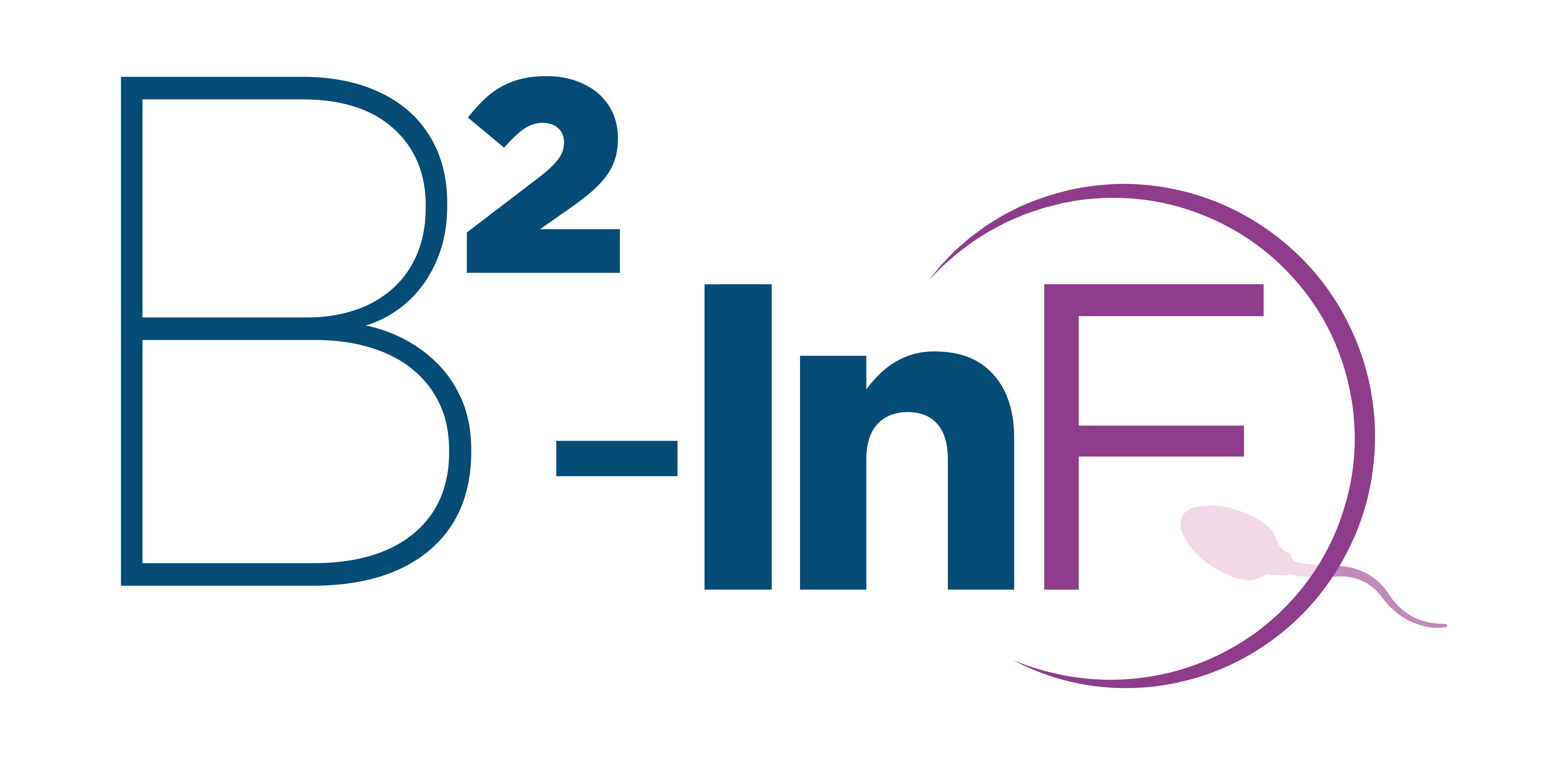 B2Inf_logo